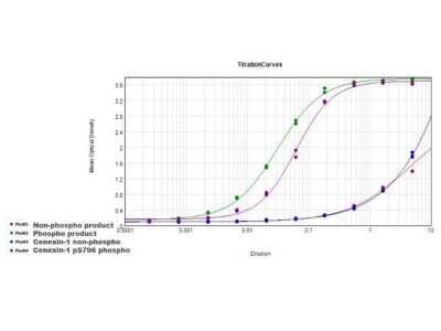 ELISA: ODF2 [p Ser796] Antibody [NB110-85525] - ELISA of ODF2 [p Ser796] antibody. Antigen: BSA conjugates of ODF2 pS796 (purple) and S796 (blue).Coating amount: 0.1 ug per well. Primary antibody: ODF2 at 5 ug/mL. Secondary antibody: Peroxidase goat anti-rabbit secondary antibody at 1:8,500. Substrate: TMB.